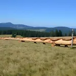 Apartmán Drei Tannen Todtnau