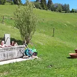 Drei Tannen * Todtnau