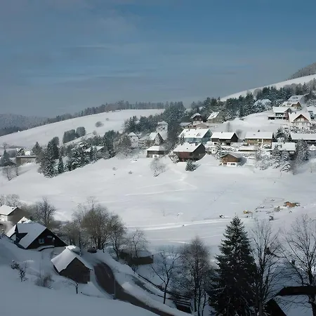 Apartment Drei Tannen Todtnau