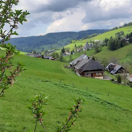 Drei Tannen Apartamento