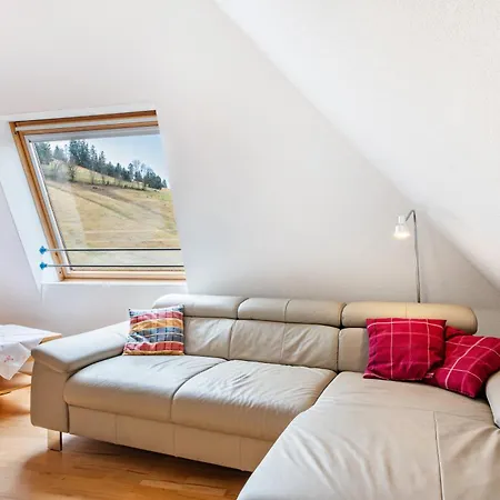 Drei Tannen Apartment *