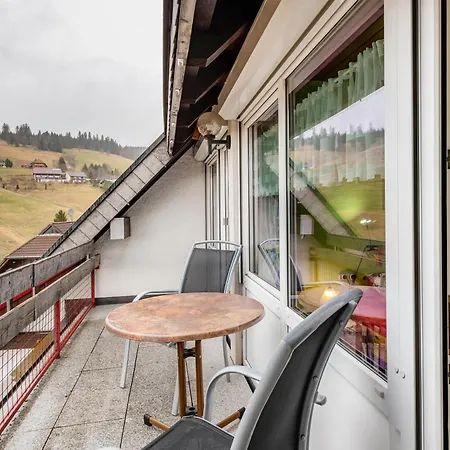 Drei Tannen Lejlighed Todtnau