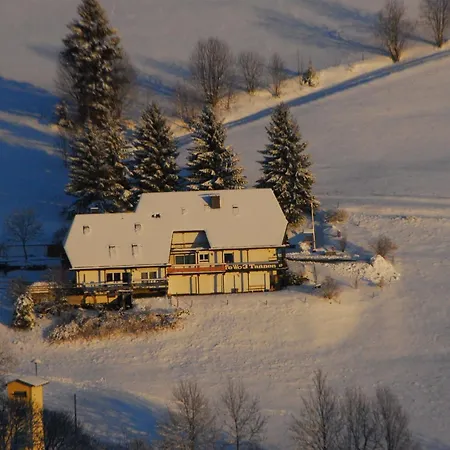 Drei Tannen Lejlighed Todtnau