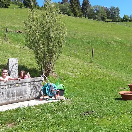 Drei Tannen Lejlighed *