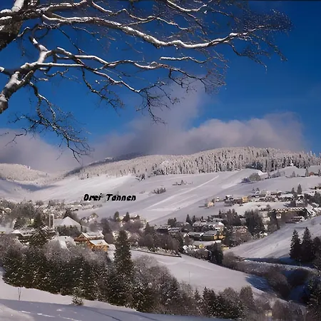 Drei Tannen Todtnau