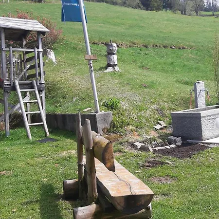Drei Tannen Lägenhet Todtnau