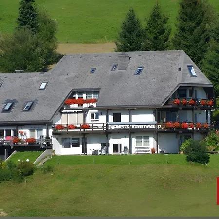 Lägenhet Drei Tannen Todtnau