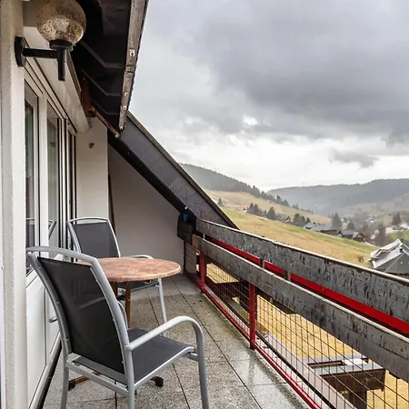 Drei Tannen Lägenhet Todtnau