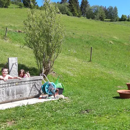 Drei Tannen * Todtnau