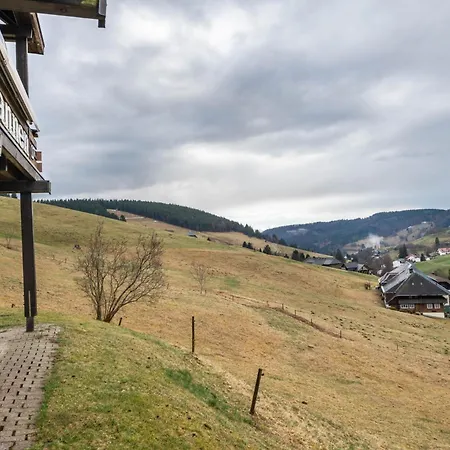Drei Tannen Lägenhet Todtnau